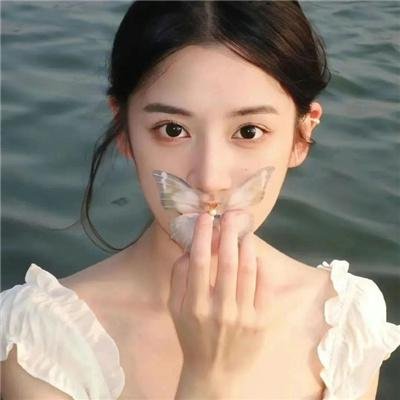 派出所的故事